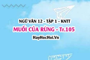 Soạn bài Muối Của Rừng trang 105 Ngữ văn lớp 12 tập 1 Kết nối tri thức
